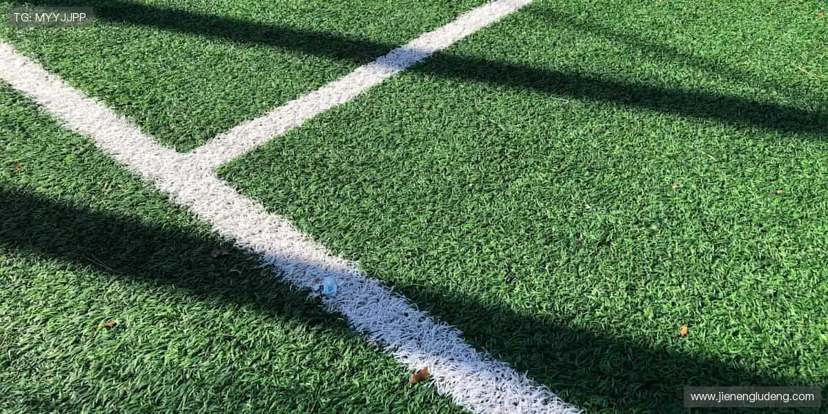 🏀全明星阵容，震撼来袭！篮球联赛官网，每一场都是视觉盛宴！🎯💥